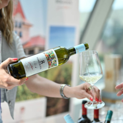 Networking uz vino